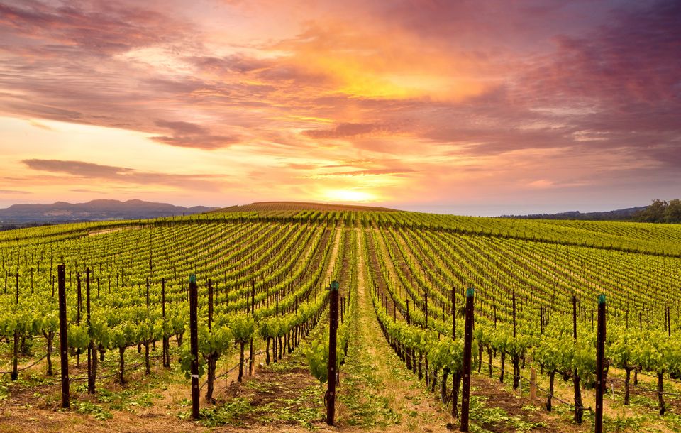 Wine Country California